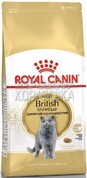 Royal Canin British Shorthair Adult - корм сухой сбалансированный для взрослых британских короткошерстных кошек
